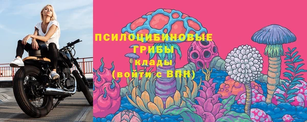 дживик Арсеньев