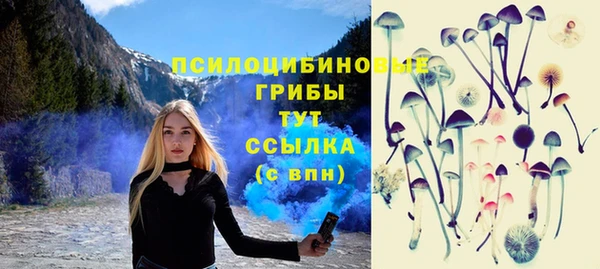 винт Аркадак