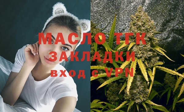 дживик Арсеньев
