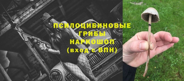 2c-b Армянск
