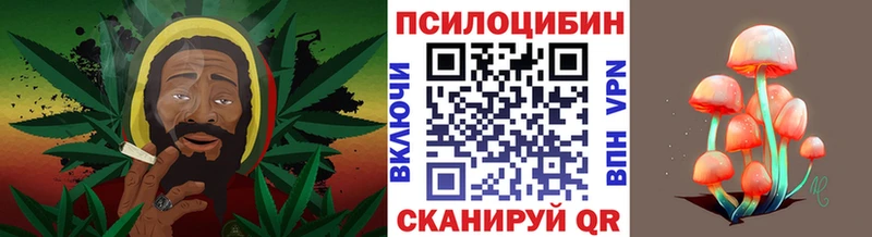 закладки mega сайт Псилоцибиновые грибы Magic Shrooms Белая Холуница